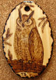 Bubo virginianus